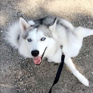 Meet your Posher, Mackenzie